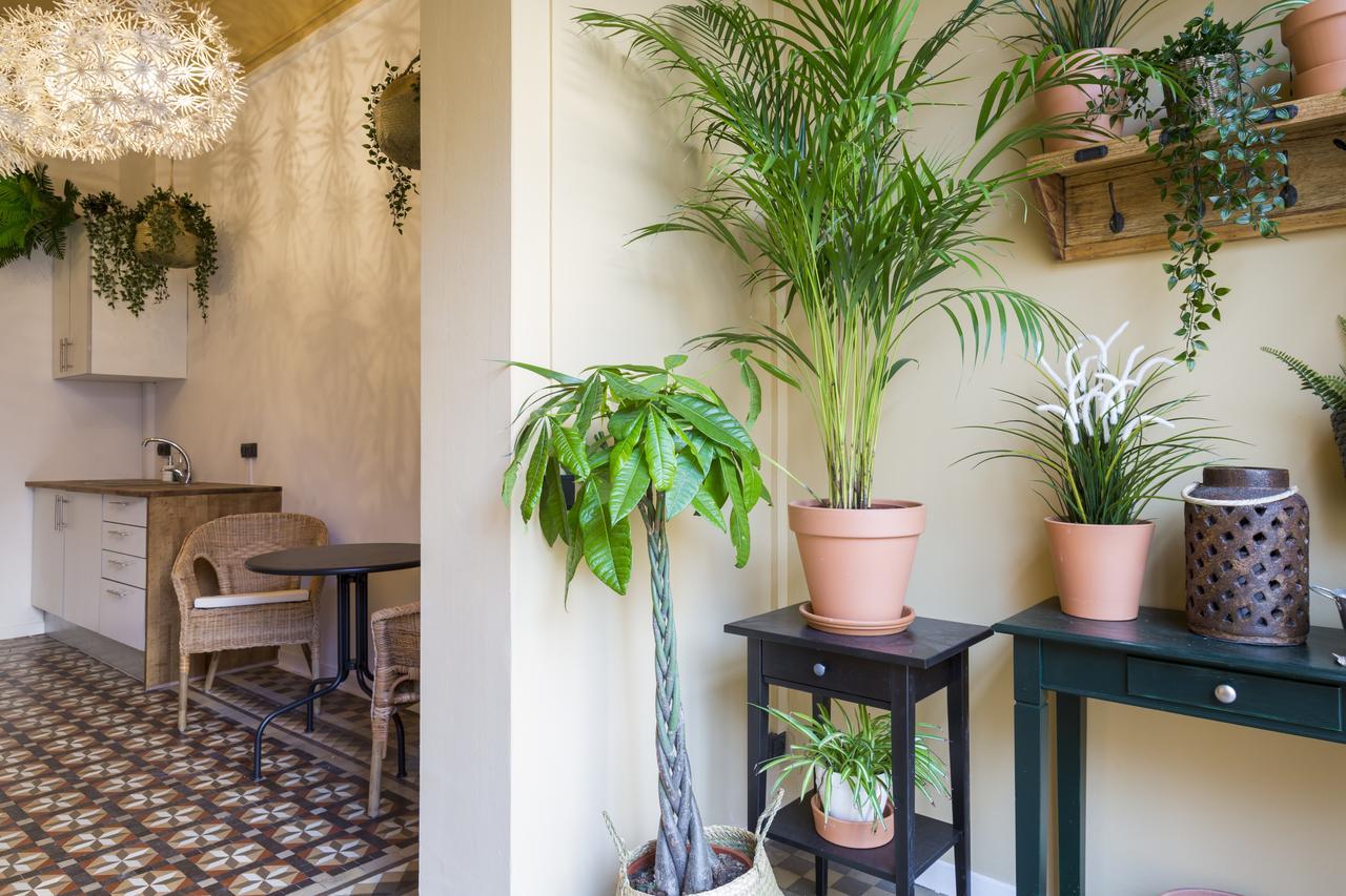 Casa Maca Barcelona (Adults Only) Hotel Ngoại thất bức ảnh